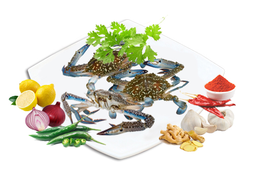 NVL-Sea-Blue-Crab-500x300