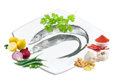 NVL-RibbonFish-500x300